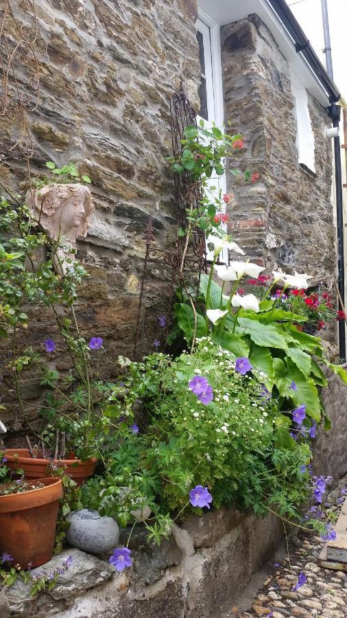 Reed'S Of Fowey Apartment Exterior photo